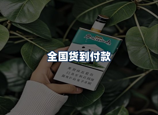 专业团队办公环境